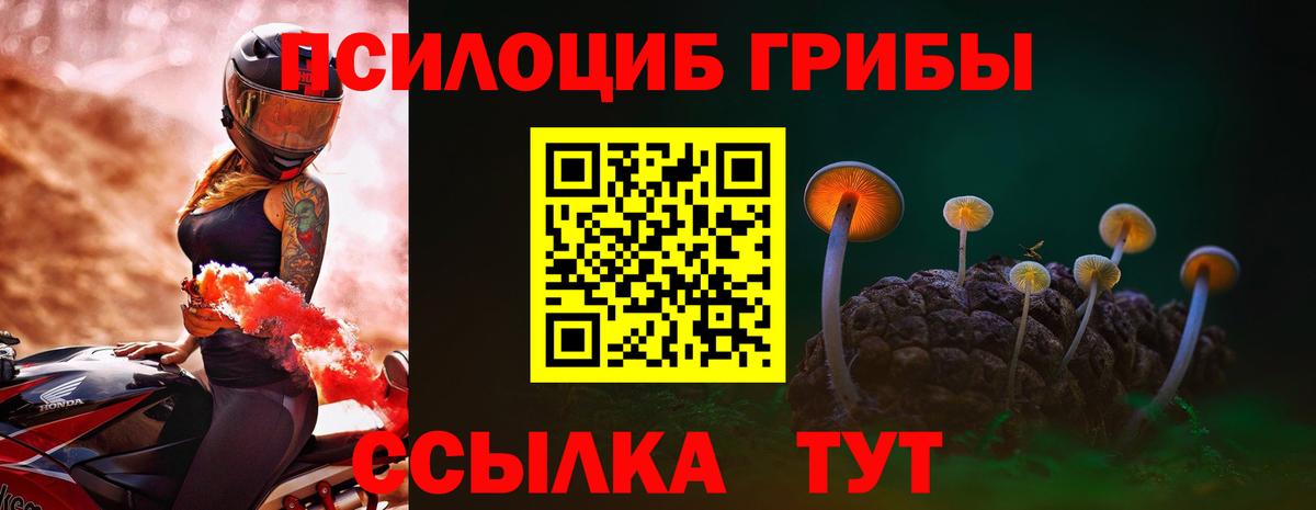 Сызрань  Псилоцибиновые грибы GOLDEN TEACHER  Вход с VPN 